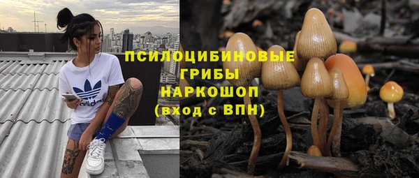 амф Абаза