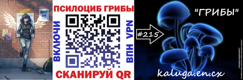 Псилоцибиновые грибы GOLDEN TEACHER  площадка формула  Торопец 